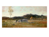 Summer Landscape