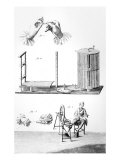 Buy Rustic Economics, Cotton, Plate from 'Encyclopedia' by Denis Diderot at AllPosters.com
