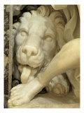 A Lion Licking the foot of Daniel