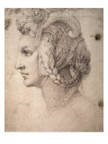 Study of Head