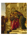 Calumny of Apelles, 1497-98