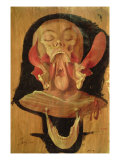 Anatomical Drawing of the Head