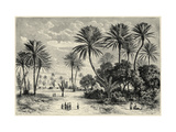 Buy Oasis of Gafsa: Tunis at AllPosters.com