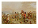 Buy Field of Waterloo at AllPosters.com