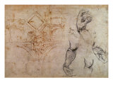 Scheme for the Sistine Chapel Ceiling, c.1508