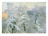 Buy Trees in Wintry Silver, 1910 at AllPosters.com