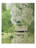 Buy Silver White Willow, 1904 at AllPosters.com