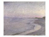 A Coastal Scene