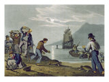 Buy Turtle Catching on Land, engraved by Matthew Dubourg at AllPosters.com