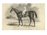 Sir Tatton Sykes