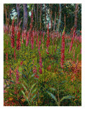 Buy Foxgloves, c.1916 at AllPosters.com
