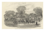 The Queen's Stag Hounds: The Meet, Aylesbury Vale, from 'The Illustrated London News'