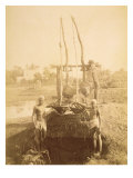 Buy An Egyptian Irrigation Machine on the Banks of the Nile at AllPosters.com