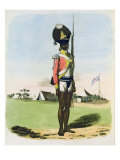 Buy A Naigue of the Bombay Battalion, Plate 28 from 'Oriental Drawings', engraved by Thomas Medland at AllPosters.com