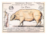 Cuts of Pork, illustration from a French Domestic Science Manual by H. de Puytorac, 19th century