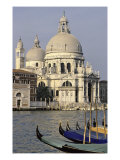 View of Santa Maria della Salute