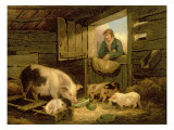 A Boy Looking into a Pig Sty, 1794