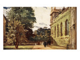 Buy Trinity College, 1903 at AllPosters.com