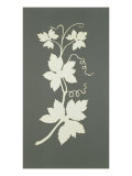 Buy Hop plant at AllPosters.com