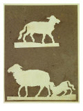 Buy Sheep and Sheep with Lamb at AllPosters.com