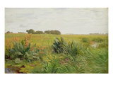 Between Geest and Marsh, c.1880