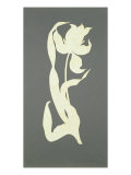 Buy Tulip at AllPosters.com