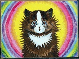 Cat in a Rainbow