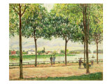 Buy Street of Spanish Chestnut Trees by the River, 1878 at AllPosters.com