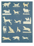 Buy Study of Dogs at AllPosters.com