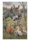 Buy An Urban Council at AllPosters.com