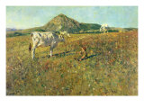 Buy Pasture in Pietramala at AllPosters.com