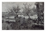 Buy 'A little farm well tilled', Picardy, from 'Leisure Hour', 1888 at AllPosters.com