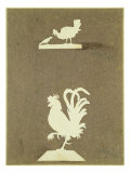 Buy Farmyard Birds at AllPosters.com