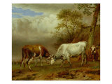 Two Bulls with Locked Horns, 1653