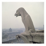 Buy Gargoyle on the Balustrade of the Grande Galerie, Replica of a 12th century original at AllPosters.com