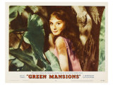 Green Mansions, 1959
