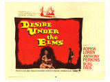 Desire Under the Elms, 1958