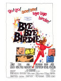Bye Bye Birdie, 1963