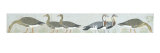 Geese of Maydum (Medum)