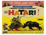 Hatari, 1962