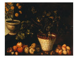 Buy Still Life at AllPosters.com