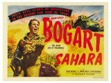 Sahara, 1943