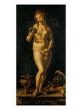 Buy Venus in the Mirror at AllPosters.com