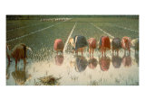 Buy The Rice Weeders (For Eighty Cents) at AllPosters.com