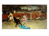 Scene of Bullfight