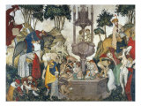 The Fountain of Youth
