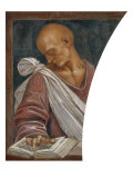 Buy Sallust at AllPosters.com