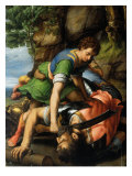 Buy David and Goliath at AllPosters.com