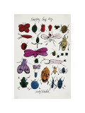 Happy Bug Day, c.1954