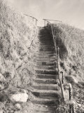 Buy Steps Down to Beach at AllPosters.com
